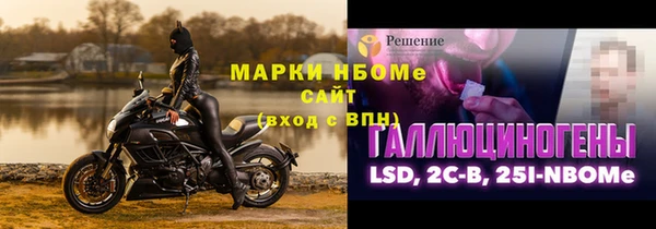 индика Богданович
