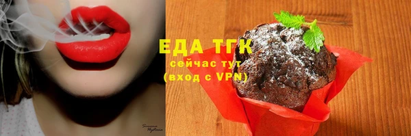 индика Богданович