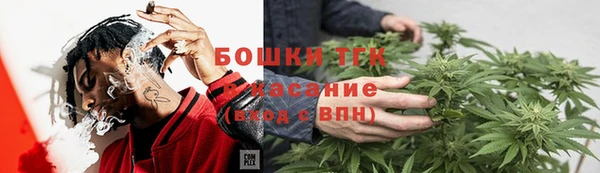 крисы Богородск