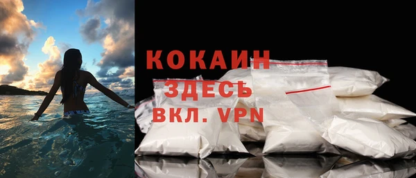 индика Богданович