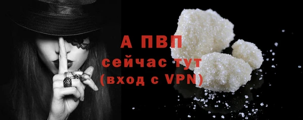 индика Богданович