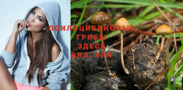 сатива Богородицк