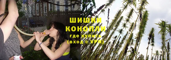 индика Богданович
