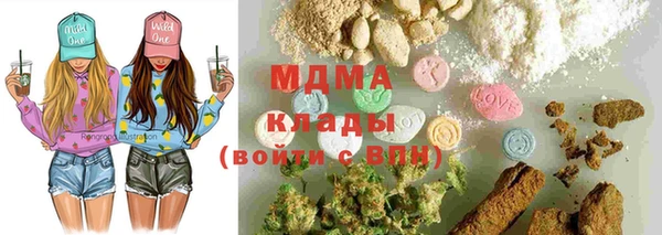 индика Богданович