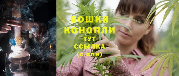 крисы Богородск